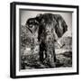 Awesome South Africa Collection Square - Portrait of African Elephant Sepia-Philippe Hugonnard-Framed Photographic Print