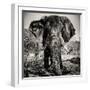 Awesome South Africa Collection Square - Portrait of African Elephant Sepia-Philippe Hugonnard-Framed Photographic Print