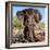 Awesome South Africa Collection Square - Portrait of African Elephant-Philippe Hugonnard-Framed Photographic Print