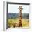 Awesome South Africa Collection Square - Portrait of Giraffe-Philippe Hugonnard-Framed Photographic Print