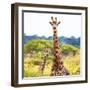 Awesome South Africa Collection Square - Portrait of Two Giraffes II-Philippe Hugonnard-Framed Photographic Print