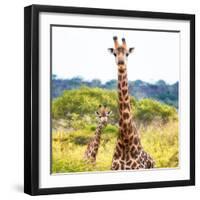 Awesome South Africa Collection Square - Portrait of Two Giraffes II-Philippe Hugonnard-Framed Photographic Print