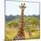 Awesome South Africa Collection Square - Portrait of Two Giraffes-Philippe Hugonnard-Mounted Photographic Print