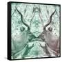 Awesome South Africa Collection Square - Reflection of Greater Kudu - Coral Green & Dimgray-Philippe Hugonnard-Framed Stretched Canvas