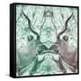Awesome South Africa Collection Square - Reflection of Greater Kudu - Coral Green & Dimgray-Philippe Hugonnard-Framed Stretched Canvas