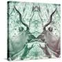 Awesome South Africa Collection Square - Reflection of Greater Kudu - Coral Green & Dimgray-Philippe Hugonnard-Stretched Canvas