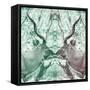 Awesome South Africa Collection Square - Reflection of Greater Kudu - Coral Green & Dimgray-Philippe Hugonnard-Framed Stretched Canvas