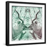 Awesome South Africa Collection Square - Reflection of Greater Kudu - Coral Green & Dimgray-Philippe Hugonnard-Framed Photographic Print