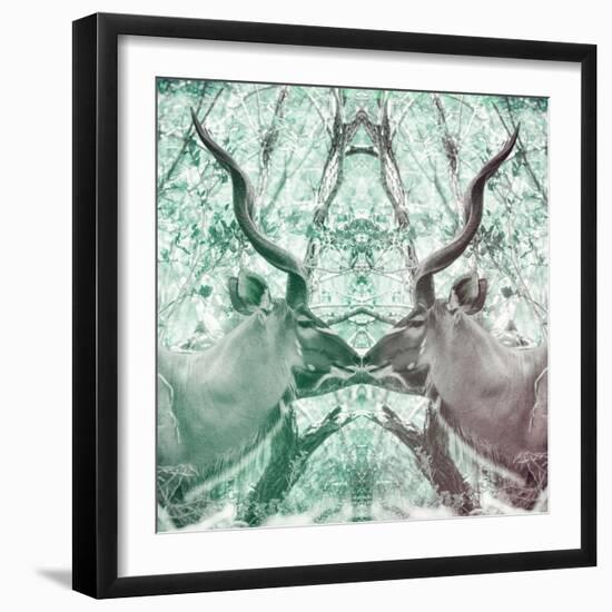 Awesome South Africa Collection Square - Reflection of Greater Kudu - Coral Green & Dimgray-Philippe Hugonnard-Framed Photographic Print