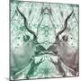 Awesome South Africa Collection Square - Reflection of Greater Kudu - Coral Green & Dimgray-Philippe Hugonnard-Mounted Photographic Print