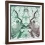 Awesome South Africa Collection Square - Reflection of Greater Kudu - Coral Green & Dimgray-Philippe Hugonnard-Framed Photographic Print