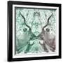 Awesome South Africa Collection Square - Reflection of Greater Kudu - Coral Green & Dimgray-Philippe Hugonnard-Framed Photographic Print