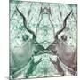 Awesome South Africa Collection Square - Reflection of Greater Kudu - Coral Green & Dimgray-Philippe Hugonnard-Mounted Photographic Print
