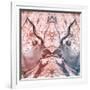 Awesome South Africa Collection Square - Reflection of Greater Kudu - Red & Dimgray-Philippe Hugonnard-Framed Photographic Print