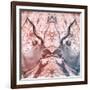 Awesome South Africa Collection Square - Reflection of Greater Kudu - Red & Dimgray-Philippe Hugonnard-Framed Photographic Print