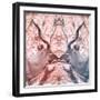 Awesome South Africa Collection Square - Reflection of Greater Kudu - Red & Dimgray-Philippe Hugonnard-Framed Photographic Print