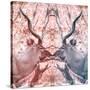 Awesome South Africa Collection Square - Reflection of Greater Kudu - Red & Dimgray-Philippe Hugonnard-Stretched Canvas