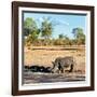 Awesome South Africa Collection Square - Rhinoceros in Savanna Landscape at Sunset-Philippe Hugonnard-Framed Photographic Print