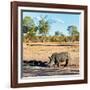 Awesome South Africa Collection Square - Rhinoceros in Savanna Landscape at Sunset-Philippe Hugonnard-Framed Photographic Print