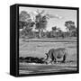 Awesome South Africa Collection Square - Rhinoceros in Savanna Landscape-Philippe Hugonnard-Framed Stretched Canvas