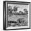 Awesome South Africa Collection Square - Rhinoceros in Savanna Landscape-Philippe Hugonnard-Framed Photographic Print