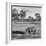 Awesome South Africa Collection Square - Rhinoceros in Savanna Landscape-Philippe Hugonnard-Framed Photographic Print