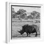 Awesome South Africa Collection Square - Rhinoceros in Savanna-Philippe Hugonnard-Framed Photographic Print