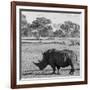 Awesome South Africa Collection Square - Rhinoceros in Savanna-Philippe Hugonnard-Framed Photographic Print