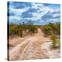 Awesome South Africa Collection Square - Road in Savannah-Philippe Hugonnard-Stretched Canvas