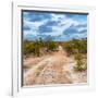 Awesome South Africa Collection Square - Road in Savannah-Philippe Hugonnard-Framed Photographic Print