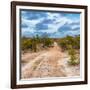 Awesome South Africa Collection Square - Road in Savannah-Philippe Hugonnard-Framed Photographic Print