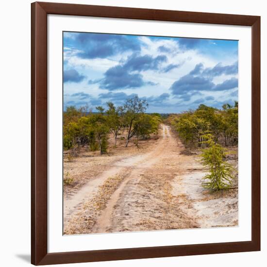 Awesome South Africa Collection Square - Road in Savannah-Philippe Hugonnard-Framed Photographic Print