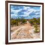 Awesome South Africa Collection Square - Road in Savannah-Philippe Hugonnard-Framed Photographic Print