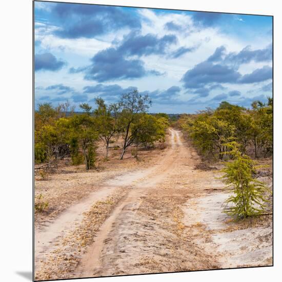 Awesome South Africa Collection Square - Road in Savannah-Philippe Hugonnard-Mounted Photographic Print