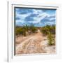 Awesome South Africa Collection Square - Road in Savannah-Philippe Hugonnard-Framed Photographic Print