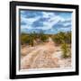 Awesome South Africa Collection Square - Road in Savannah-Philippe Hugonnard-Framed Photographic Print