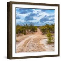 Awesome South Africa Collection Square - Road in Savannah-Philippe Hugonnard-Framed Photographic Print