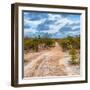 Awesome South Africa Collection Square - Road in Savannah-Philippe Hugonnard-Framed Photographic Print