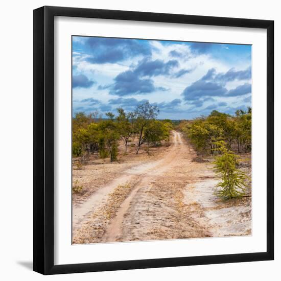 Awesome South Africa Collection Square - Road in Savannah-Philippe Hugonnard-Framed Photographic Print