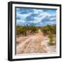 Awesome South Africa Collection Square - Road in Savannah-Philippe Hugonnard-Framed Photographic Print