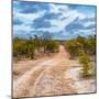 Awesome South Africa Collection Square - Road in Savannah-Philippe Hugonnard-Mounted Photographic Print