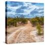 Awesome South Africa Collection Square - Road in Savannah-Philippe Hugonnard-Stretched Canvas