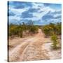 Awesome South Africa Collection Square - Road in Savannah-Philippe Hugonnard-Stretched Canvas