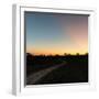 Awesome South Africa Collection Square - Road in the African Savannah at Sunset-Philippe Hugonnard-Framed Photographic Print