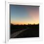 Awesome South Africa Collection Square - Road in the African Savannah at Sunset-Philippe Hugonnard-Framed Photographic Print