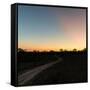 Awesome South Africa Collection Square - Road in the African Savannah at Sunset-Philippe Hugonnard-Framed Stretched Canvas