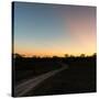 Awesome South Africa Collection Square - Road in the African Savannah at Sunset-Philippe Hugonnard-Stretched Canvas