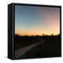 Awesome South Africa Collection Square - Road in the African Savannah at Sunset-Philippe Hugonnard-Framed Stretched Canvas