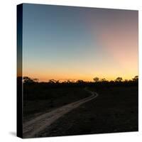 Awesome South Africa Collection Square - Road in the African Savannah at Sunset-Philippe Hugonnard-Stretched Canvas