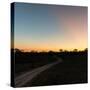 Awesome South Africa Collection Square - Road in the African Savannah at Sunset-Philippe Hugonnard-Stretched Canvas